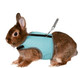 Trixie 61513 Harness for Small Animals for Rabbits Nylon 14 - 19 cm / 25 - 32 cm (Assorted Colors)