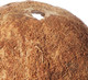 Trixie Three Coconut Hideaway Home, 10 x 12 x 8 cm, Pack of 3