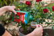 Westland Horticulture 20100440 Rose High Performance Liquid Plant Food 1L