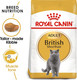 Royal Canin Feline Breed British Shorthair 400 g