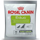 Royal Canin Dog Food Dog Educ Dry Mix 50 g (Pack of 30)