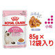 Royal Canin Kitten in Jelly Cat Food (12 x 85g)