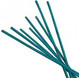 Ambassador Flower Support Cane Sticks Green 3.5/4mm x 30cm, 50 Pack