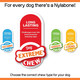 Nylabone Extreme Tough Dog Chew Toy Dura Plus, Ridges & Nubs Help Clean Teeth, Bacon Flavour, M, for Dogs Up to 16 kg