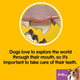 Pedigree DentaStix - Daily Dental Chews For Small Dogs (5 -10 kg), 1.76 kg megapack (1 x 112 Sticks)