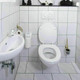HG Hygienic Toilet Area Cleaner - 320050106