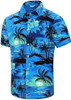 LeeHanTon Men's Hawaiian Shirt Blue XL