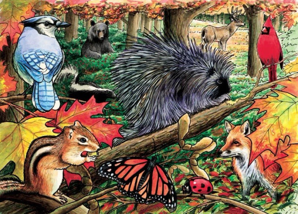 Eastern Woodlands 35 piece puzzle (tray)
