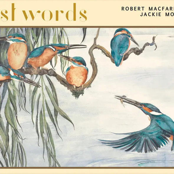 The Lost Words 1000 Piece Jigsaw Puzzle: the Kingfisher