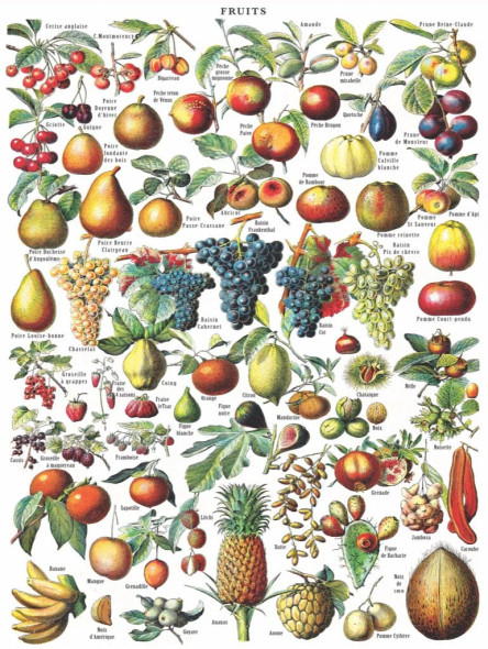 Fruits 1000 piece puzzle