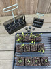 Ladbrooke 4-Pc "Basics" Soil Block Making Set with Mini 4, Micro 20, Cubic Inserts, and 3/8" Seed Pins