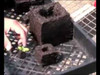 Soil blocks made from Micro 20, Mini 4, and Maxi Soil Blockers