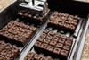 Tray of soil blocks made from Micro 20 Soil Blocker