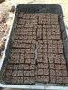 Tray of Micro soil blocks ready for seeds