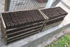 Trays of soil blocks ready for seeds