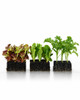 Authentic Ladbrooke 5-Pc Essentials Nesting System — Mini 4, Micro 20, Cubic Inserts, Dowel Pins, Seed Pins, Made in England