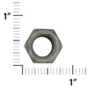 19485   FRANKLIN HEX NUT