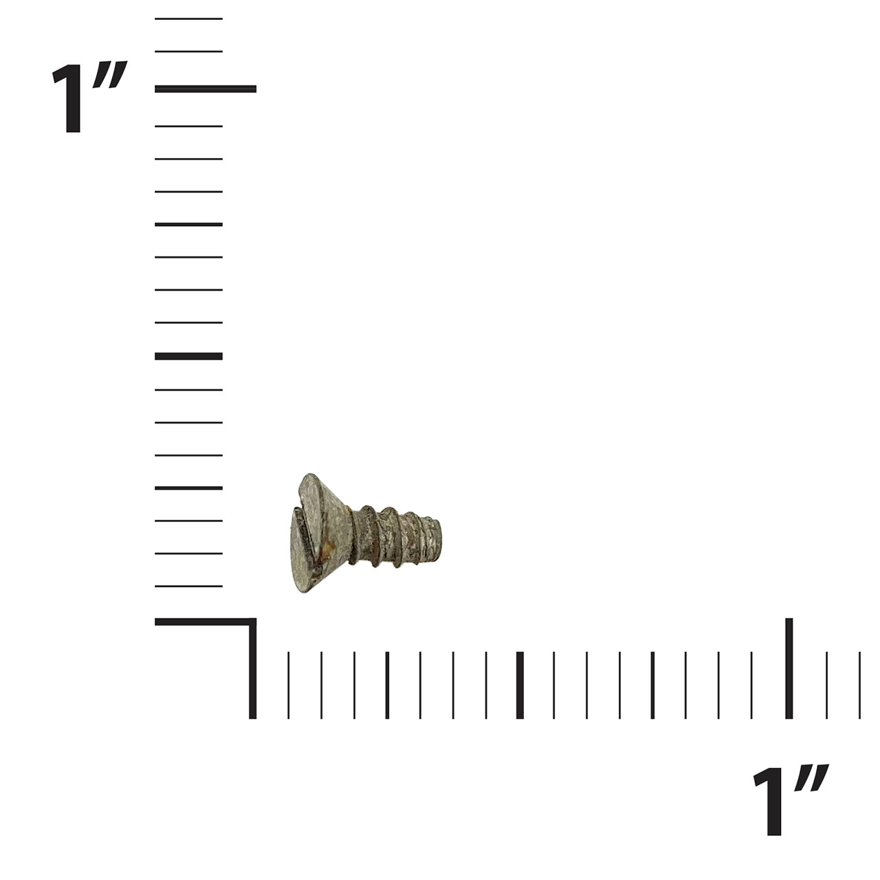 10-20490   SCINTILLA SCREW