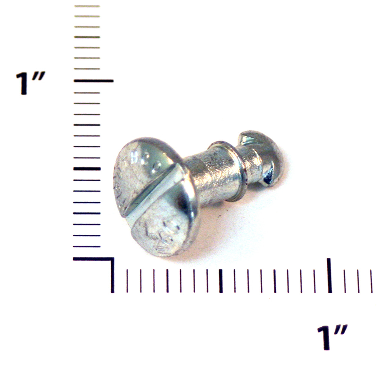 85-11-260-16   LION OVAL HEAD STUD