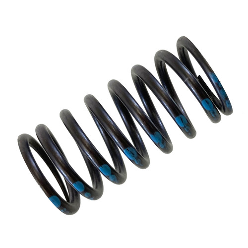 520106   CONTINENTAL SPRING