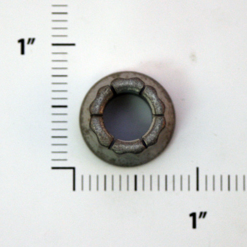 SPS42FW720   CITABRIA NUT SPS42FW720   CITABRIA NUT
