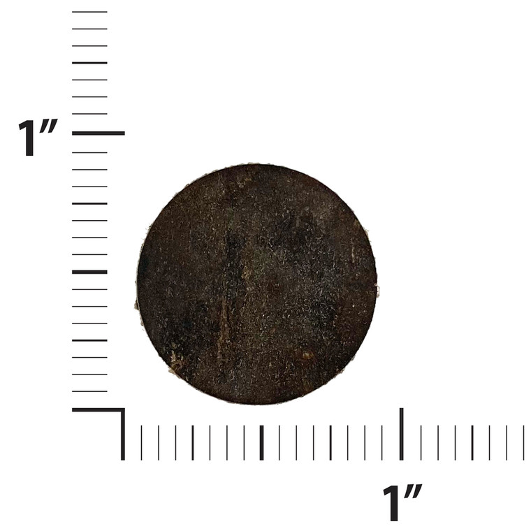 10-19253   SCINTILLA GASKET