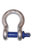 2" - 43 Ton Alloy Screw Pin Shackle