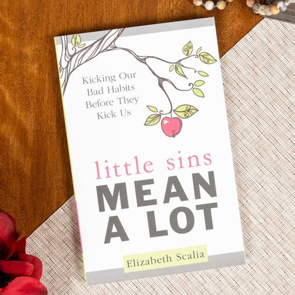 Little Sins Mean a Lot: Kicking Our Bad Habits Before They Kick Us: Scalia,  Elizabeth: 9781612789040: : Books