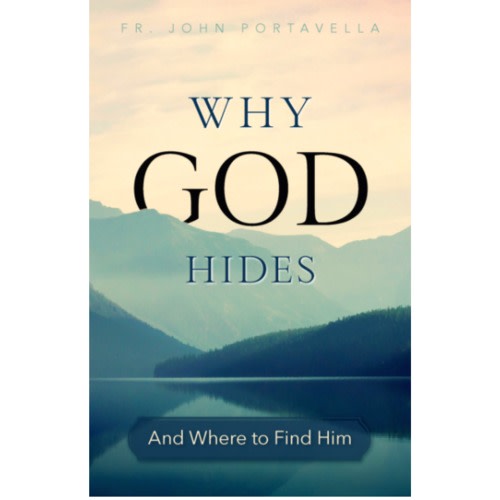 Cover image from the book, Why God Hides And Where to Find Him