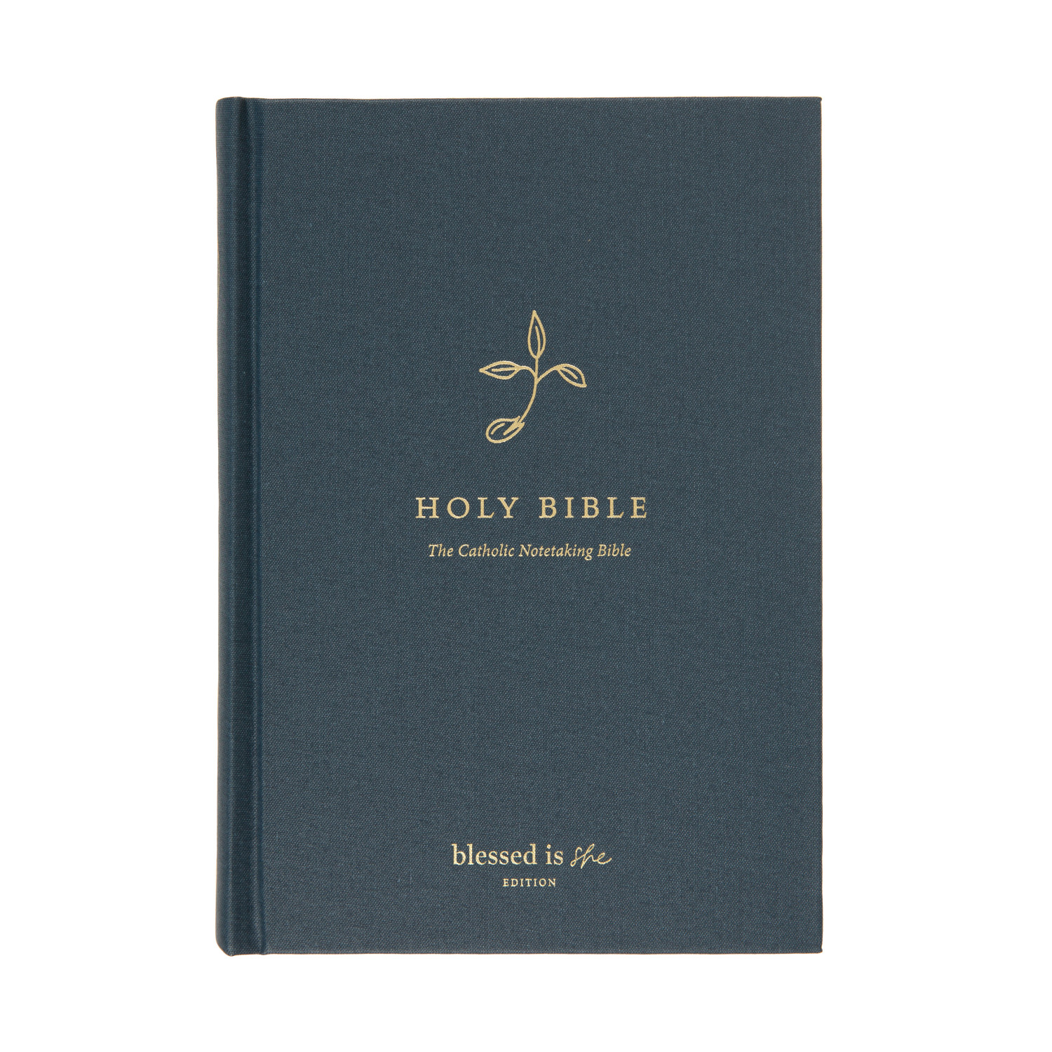 Catholic Journaling Bible: Washi Tape Pages • Called to Life Coaching