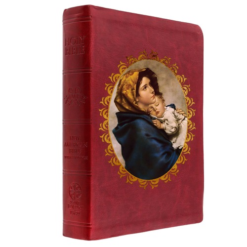 The Madonna of Streets Bible