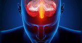 ​Migraine Linked to Inflammation in Young Adults