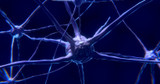 Protective Coating of Nerves Damaged by Multiple Sclerosis Could Be Repaired by Over-the-Counter Drug