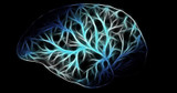 Progressive Supranuclear Palsy (PSP)