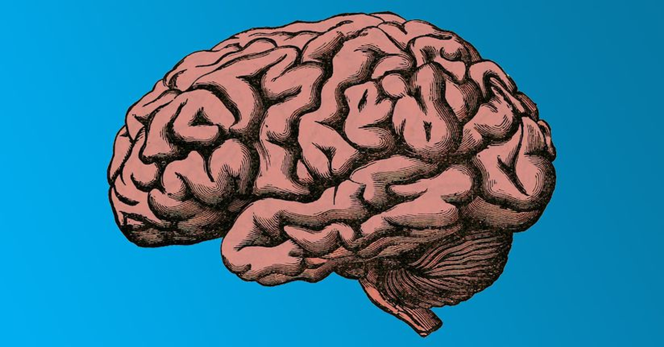 An Introduction to Traumatic Brain Injury (TBI) - TheraSpecs