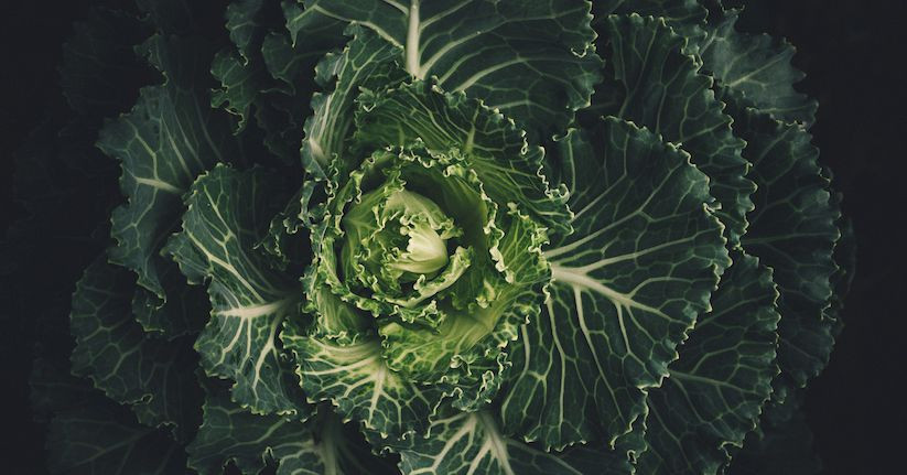 Eating Leafy Green Vegetables Could Reduce Your Glaucoma Risk