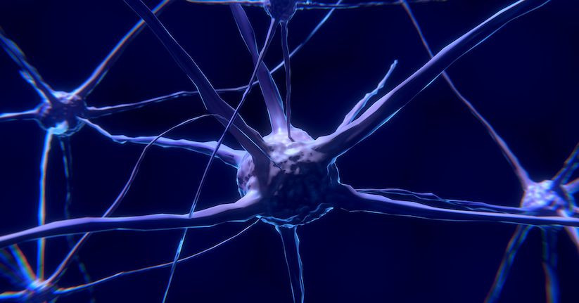 Protective Coating of Nerves Damaged by Multiple Sclerosis Could Be Repaired by Over-the-Counter Drug