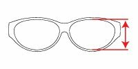 Lens Height Illustration