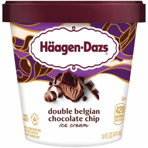 Haagen-Dazs, Double Belgian Chocolate Chip Ice Cream, Pint (1