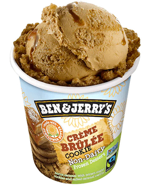 Ben & Jerry's, Non-Dairy Creme Brulee Cookie Ice Cream, Pint (1 count)