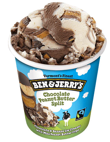 Ben & Jerry's, Chocolate Peanut Butter Split Ice Cream, Pint (1 count