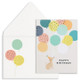 Birthday Assortment Pack | Pre-Printed Notes | 10 Bright & Colorful Birthday Cards (CC1020)