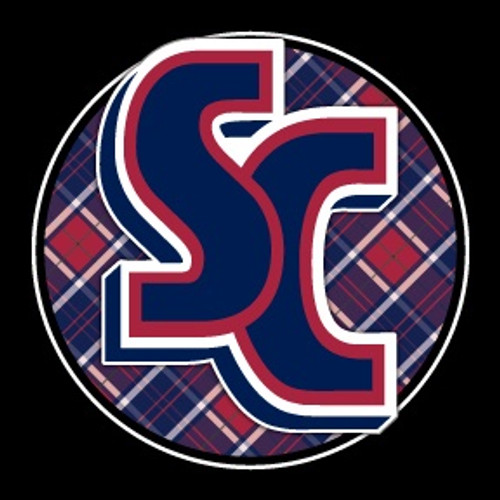 Decal, Plaid Circle