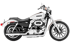 best saddlebags for sportster