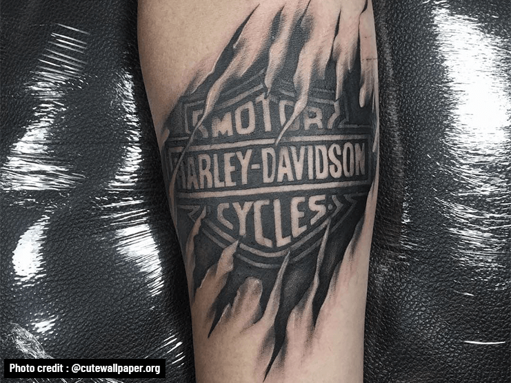 Harley-Davidson® Baby Girls' Glitter B&S Mesh Tattoo Long Sleeve Creep –  Gasoline Alley Harley-Davidson®