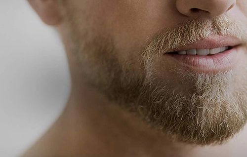 Close‑up of a well‑groomed beard showcasing popular men’s beard styles