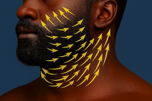 Neck and jawline hair growth directions map