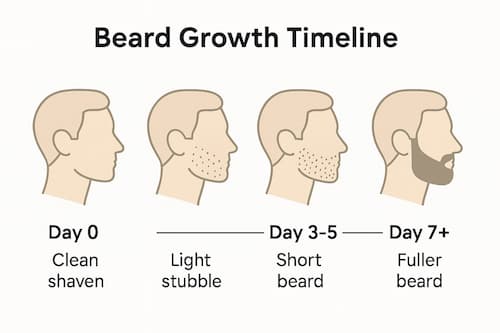 Beard growth timeline