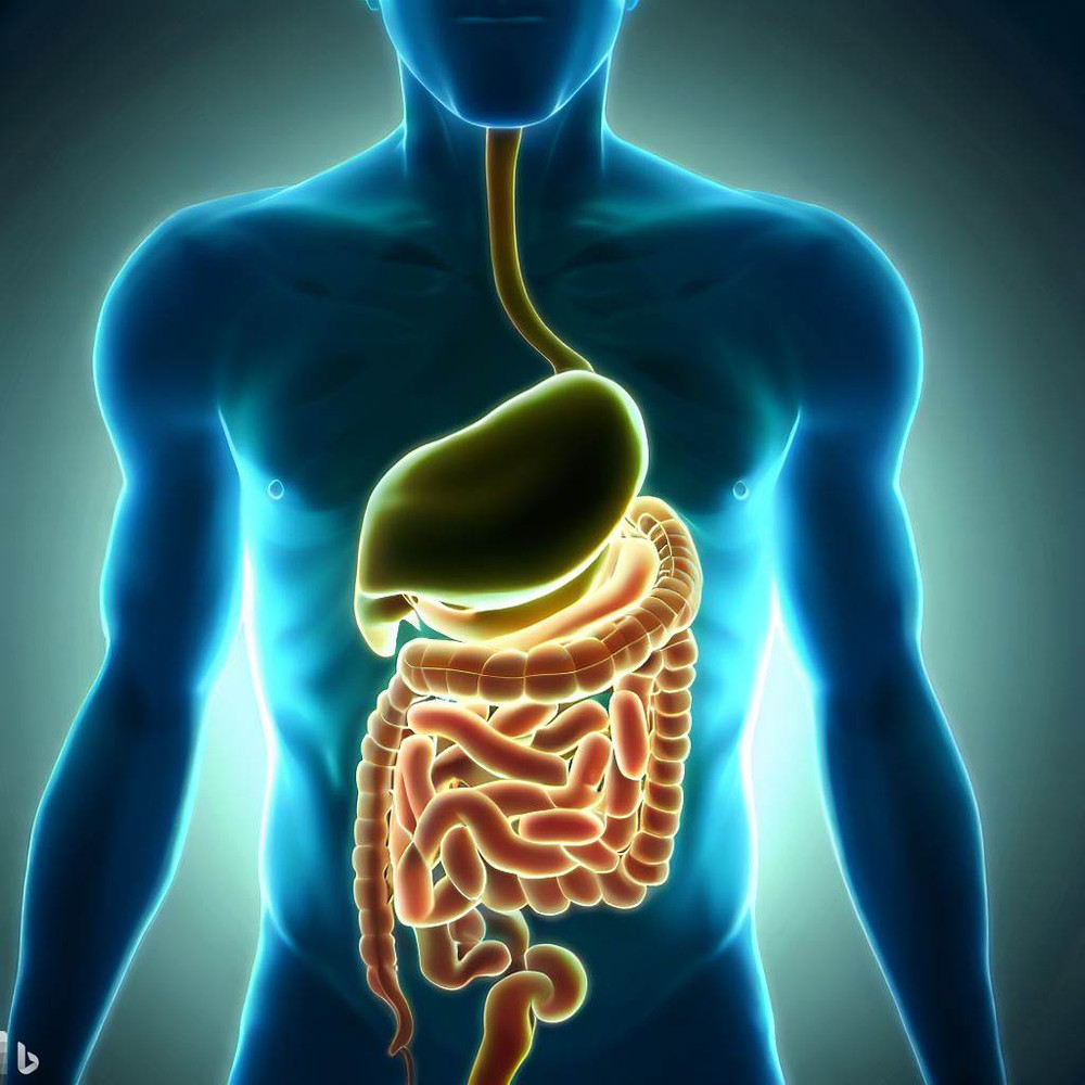 ​Naturopathic, Holistic and Integrative Approach to Digestive Diseases and Health