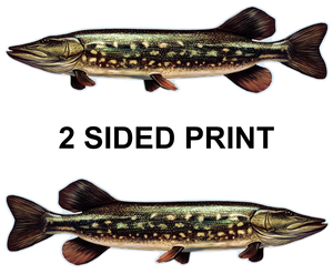 Northern Pike 8" Two-Sided Fish Stickers – 10 Pack
